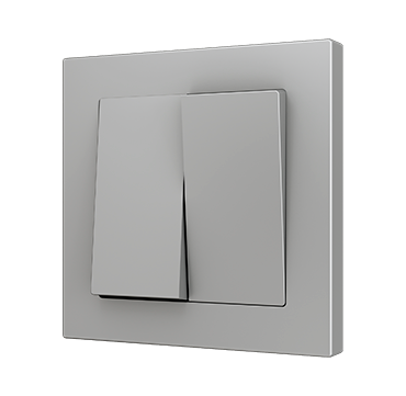 ZS55 Double one-way rocker switch