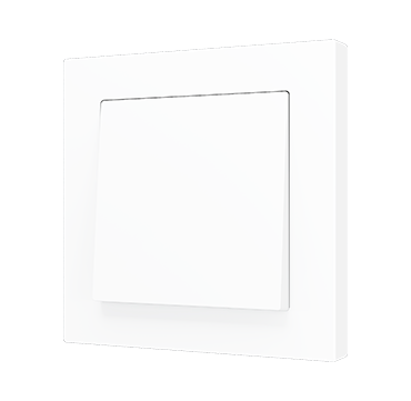ZS55 Single two-way rocker switch