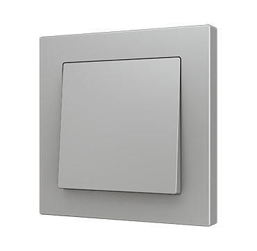 ZS55 Single intermediate rocker switch