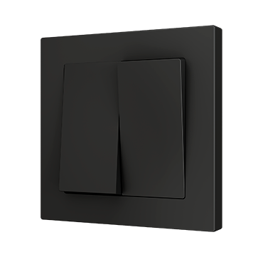 ZS55 Double two-way rocker switch