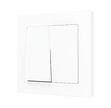 ZS55 Double push button switch*